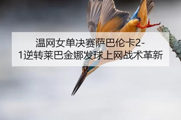 wen-wang-nv-dan-jue-sai-sa-ba-lun-ka-ni-zhuan-lai-ba-jin-na-fa-qiu-shang-wang-zhan-shu-ge-xin-3-338.jpg